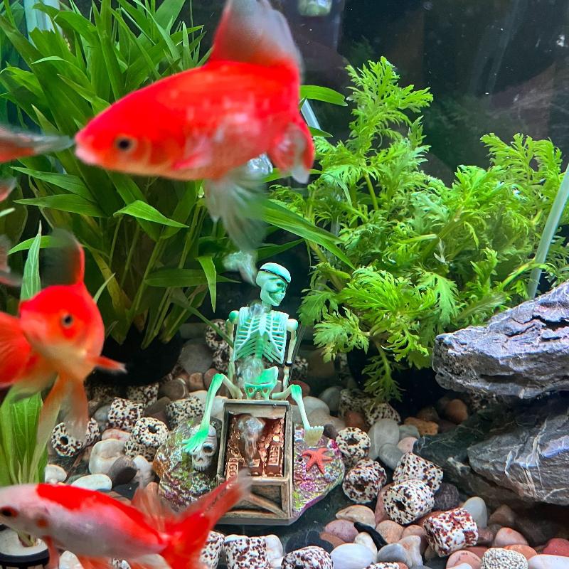 Aquarium Fish Land - Fish Tank Aerobic Landscape Bubble Air