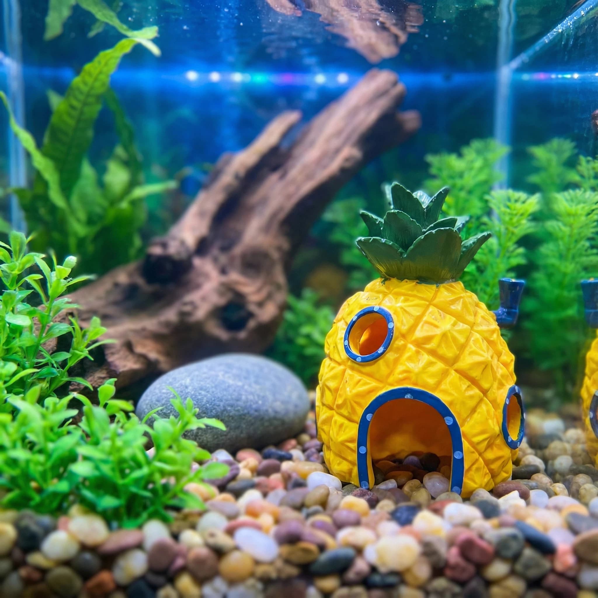 Aquarium Fish Cave - Pineapple House Aquarium Decor， Eco-Friendly Resin