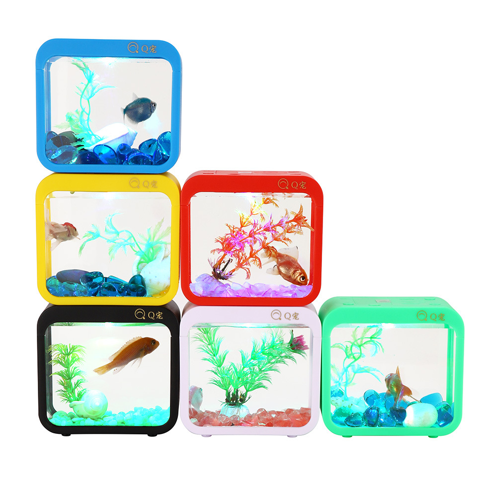 Colorful Creative Betta Box Wi - Aquarium Fish Betta recension och pris
