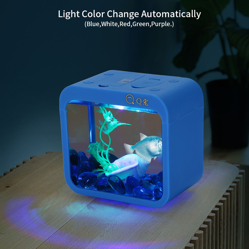 Colorful Creative Betta Box Wi - Aquarium Fish Betta recension och pris