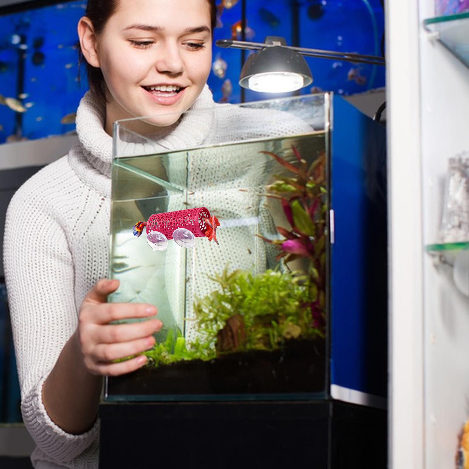 Betta Habitat Resting Shelter  - Aquarium Fish Betta recension och pris