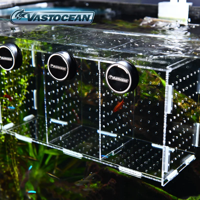 VASTOCEAN Fish Tank Magnetic C - Aquarium Fish Cave recension och pris