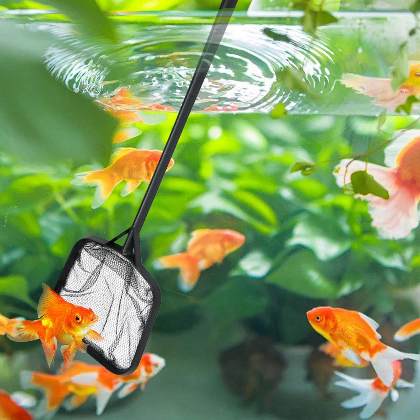 Pool Nets for Cleaning Portabl - Aquarium Fish Maintenance recension och pris