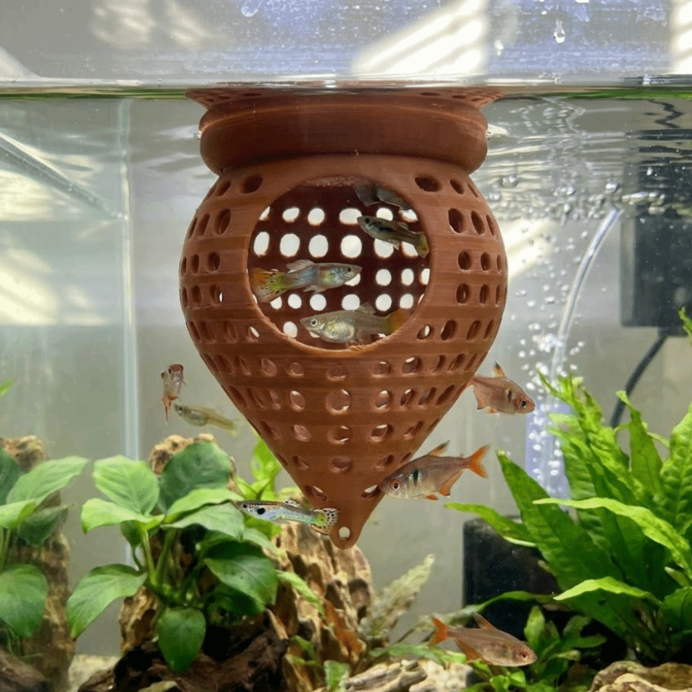 3D Printed Floating Fish Hammo - Aquarium Fish Cave recension och pris