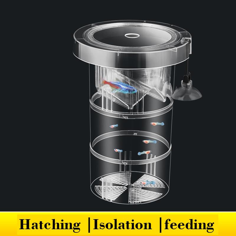 Floating Fish Breeding Isolati - Aquarium Fish Betta recension och pris