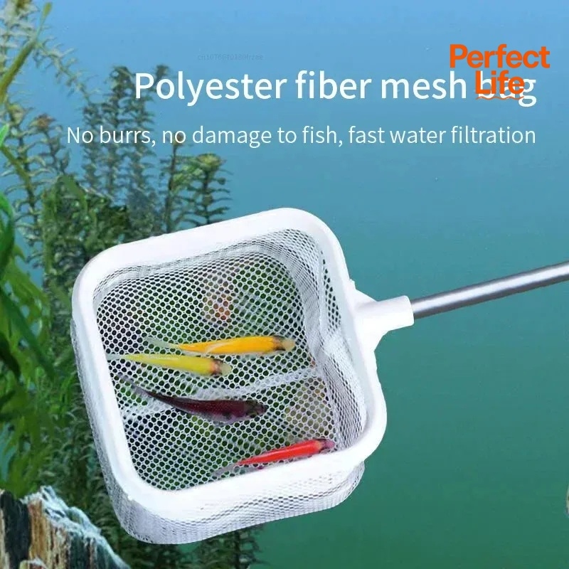 1、2Pcs Stainless Steel Fishing - Aquarium Fish Net recension och pris