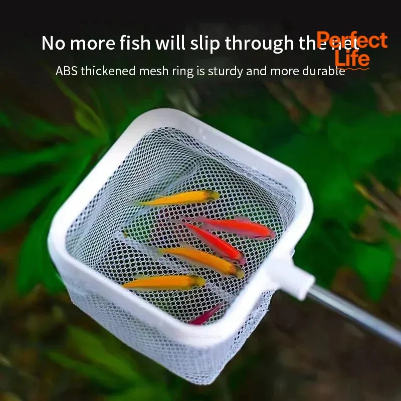 1、2Pcs Stainless Steel Fishing - Aquarium Fish Net recension och pris