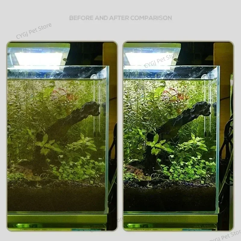 Fish Tank Cleaning Tool Flat S - Aquarium Fish Maintenance recension och pris
