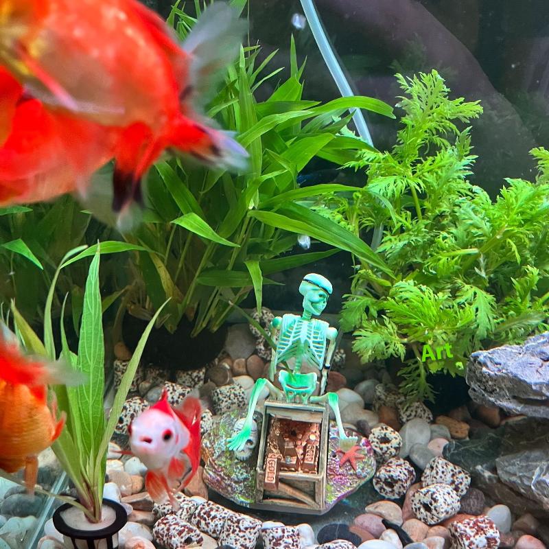 Fish Tank Aerobic Landscape Bu - Aquarium Fish Land recension och pris