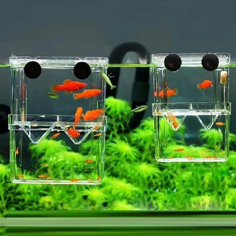 Transparent Fish Aquarium High - Aquarium Fish Cave recension och pris