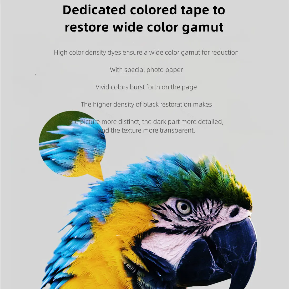 MIjia Photo Printer Dedicated  - Aquarium Xiaomi recension och pris