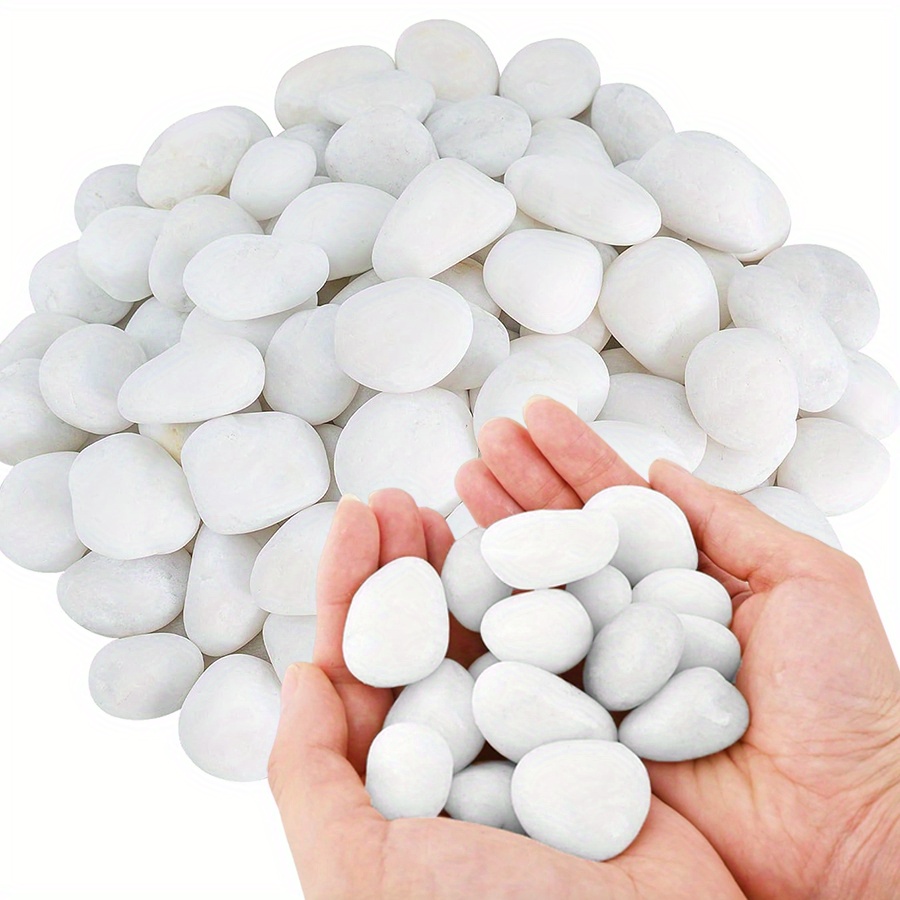 200/400g White High Polished N - Aquarium Fish Land recension och pris