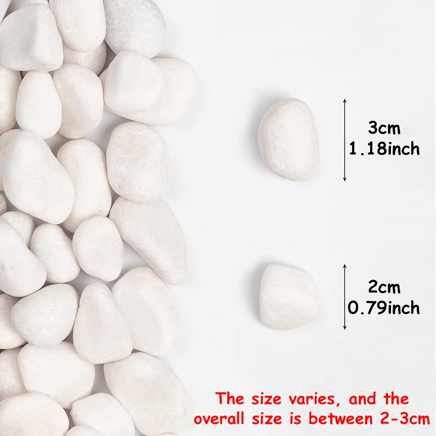 200/400g White High Polished N - Aquarium Fish Land recension och pris