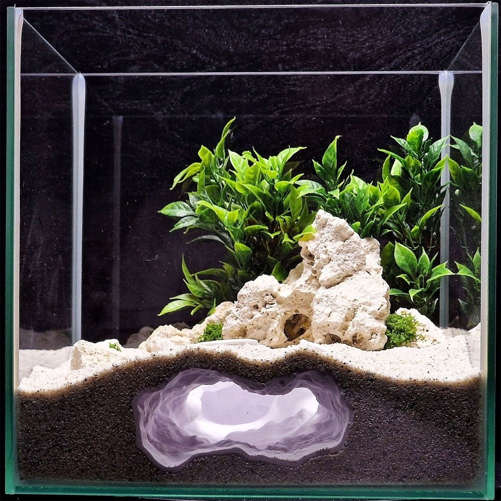 Highly Simulated Aquarium Fish - Aquarium Fish Cave recension och pris