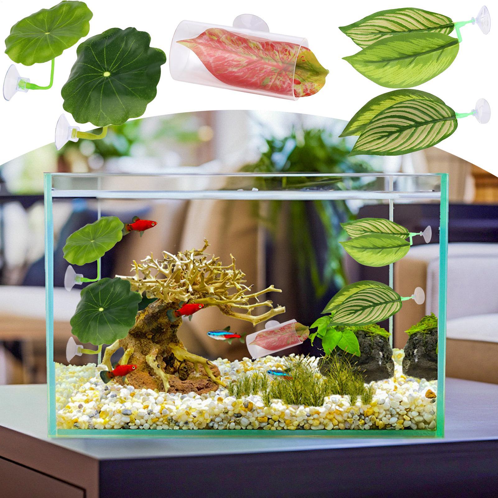 Betta Fish Hammock 5 Pieces Ad - Aquarium Fish Betta recension och pris