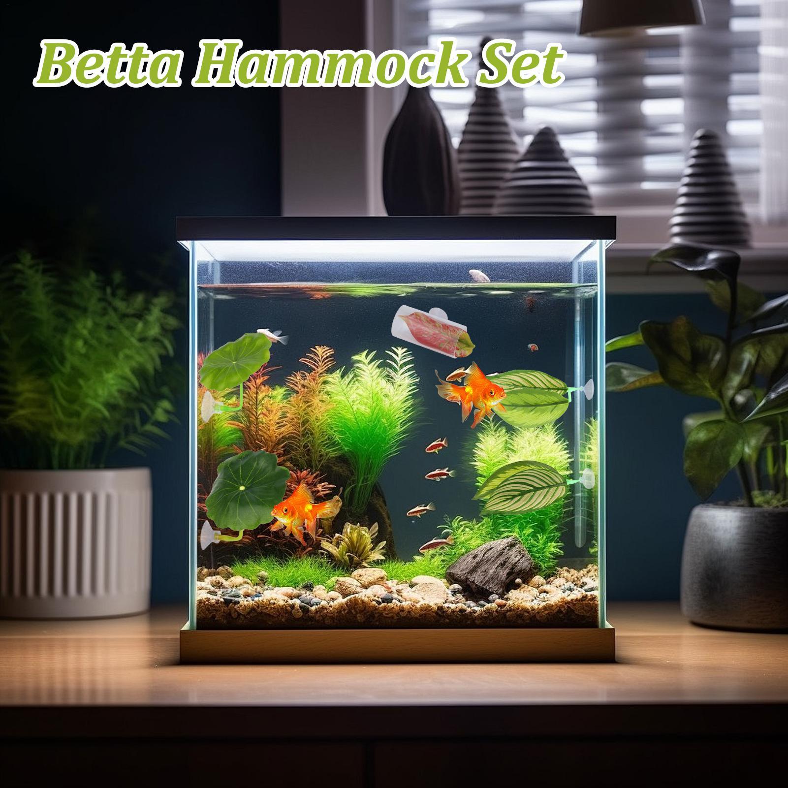 Betta Fish Hammock 5 Pieces Ad - Aquarium Fish Betta recension och pris