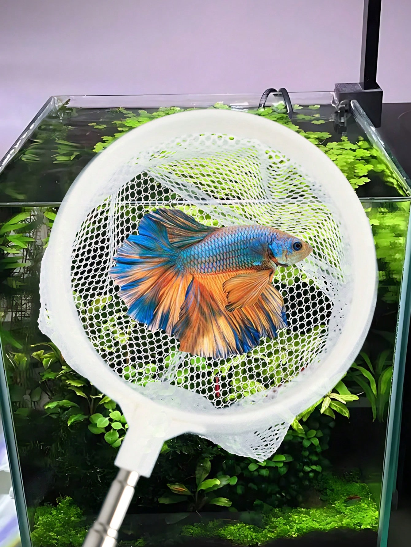 Aquarium Fish Net - a Retracta - Aquarium Fish Net recension och pris