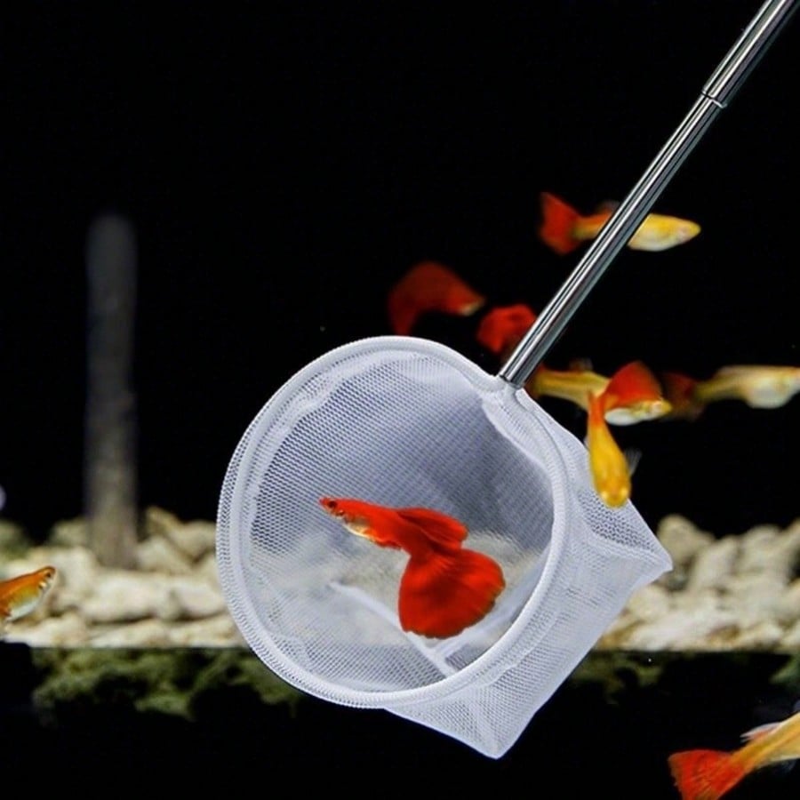 Aquarium Fish Net - a Retracta - Aquarium Fish Net recension och pris