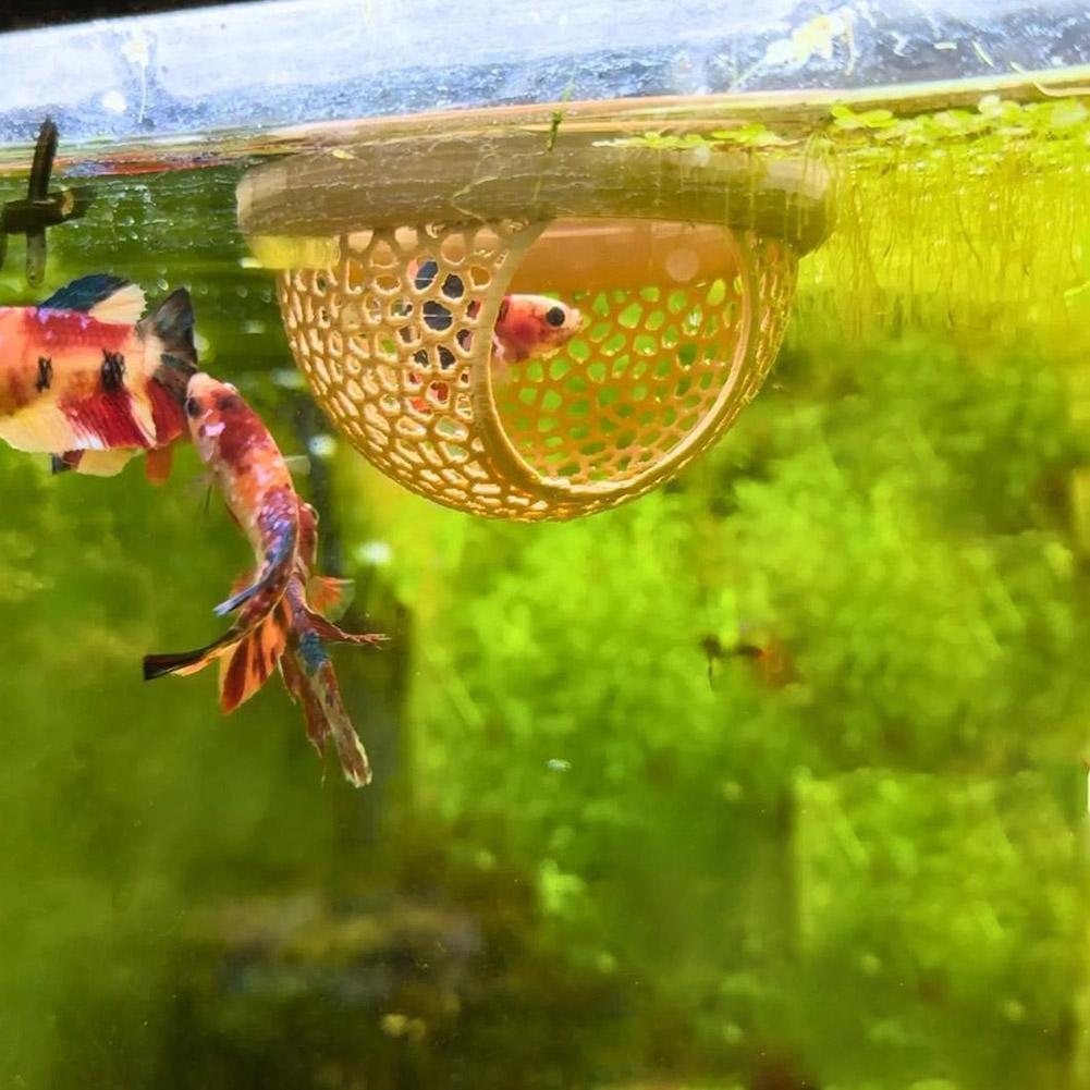 Aquarium Floating Cave Fish Sh - Aquarium Fish Cave recension och pris