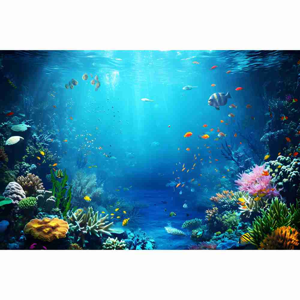 Underwater Ocean World Photogr - Aquarium Fish Dolphin recension och pris