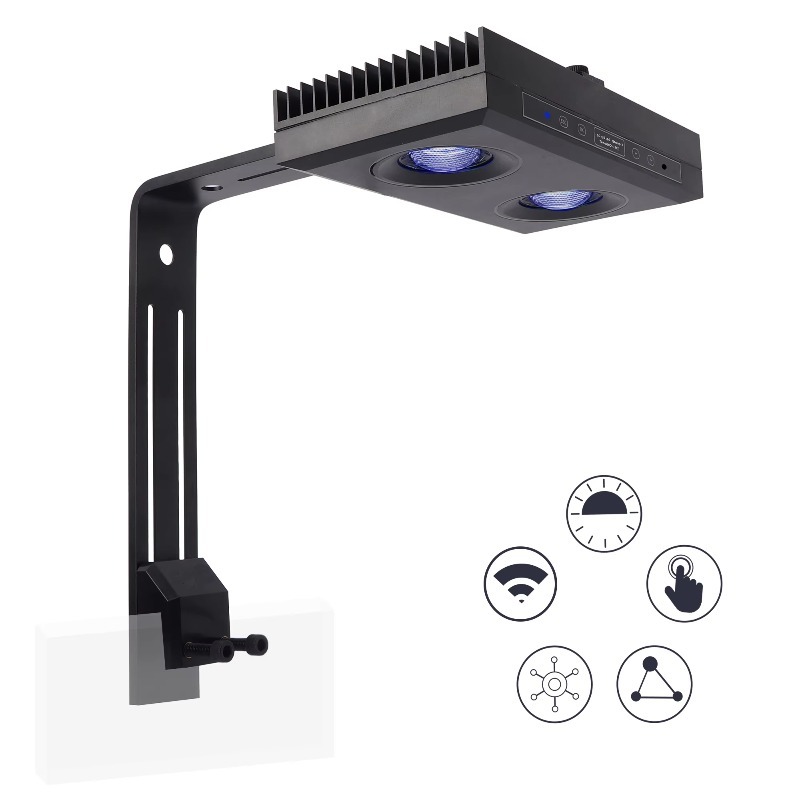 China Supplier Dimmable 95W Fu - Aquarium Fish Supplier recension och pris