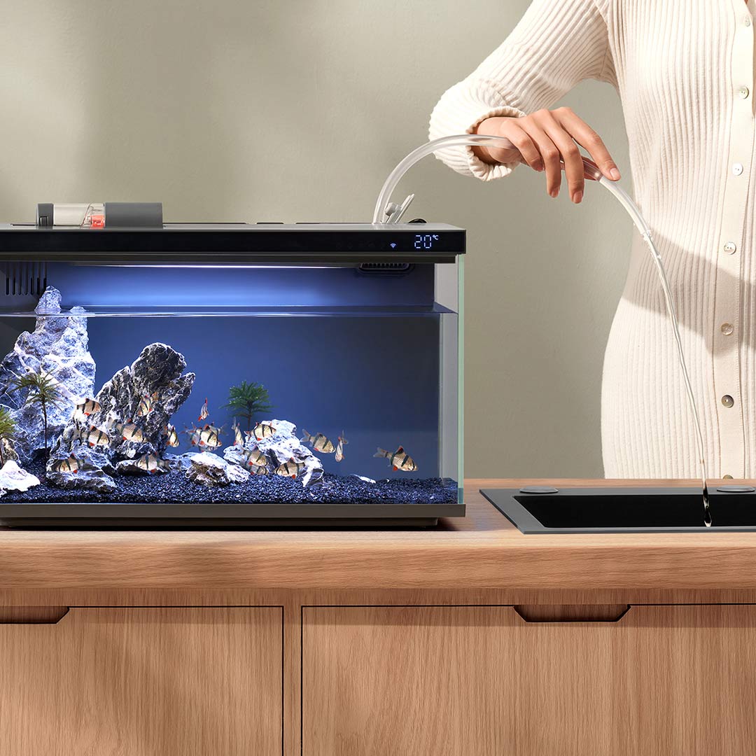 Xiaomi Mijia Smart Fish Tank M - Aquarium Xiaomi recension och pris