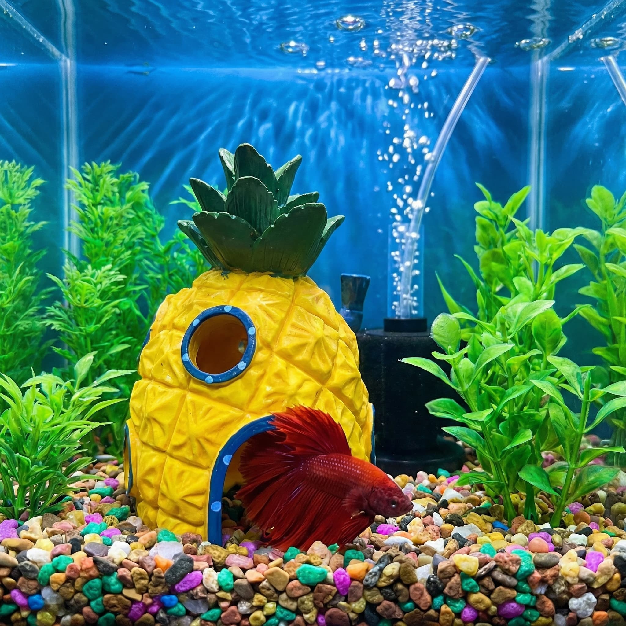 Pineapple House Aquarium Decor - Aquarium Fish Cave recension och pris