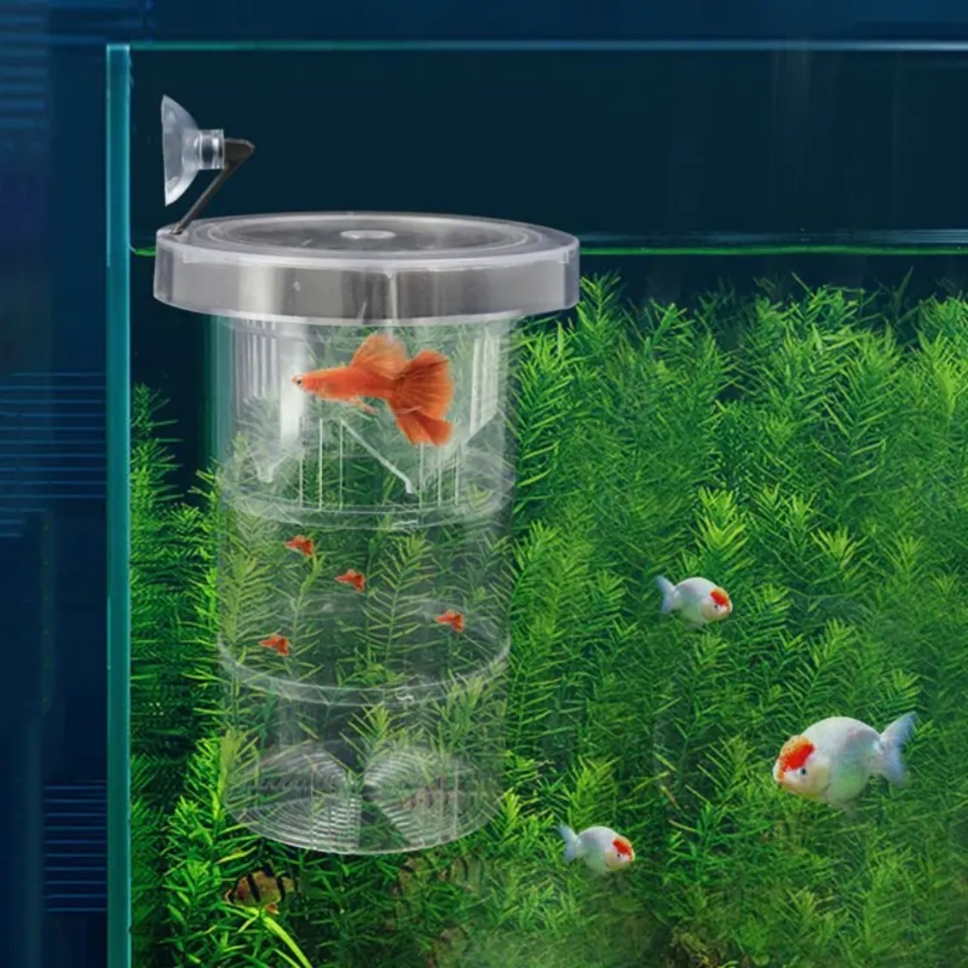 Acrylic Floating Fish Breeding - Aquarium Fish Cave recension och pris