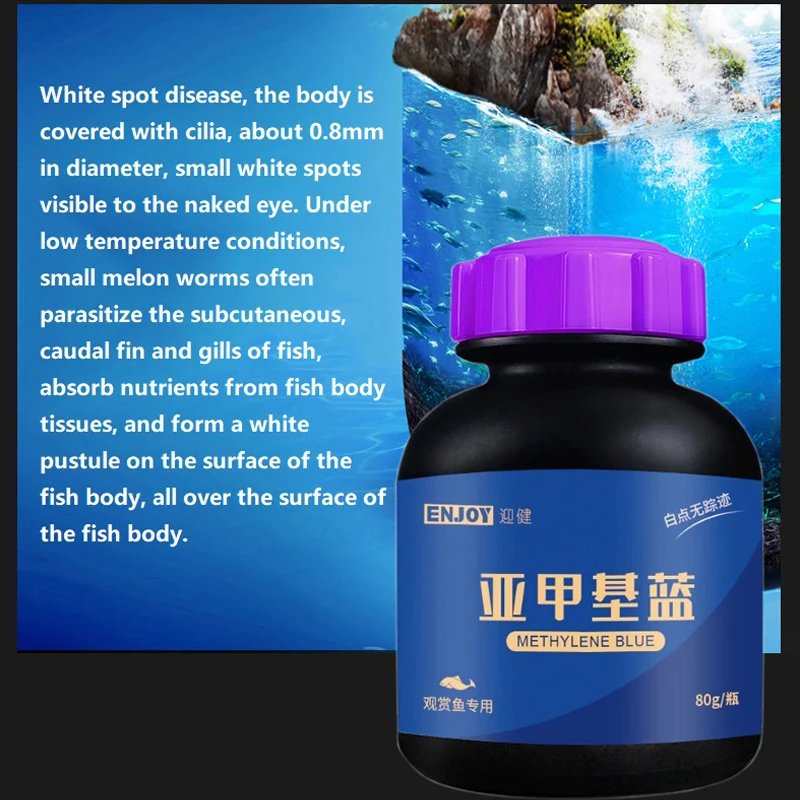 Methylene Blue Ornamental Fish - Aquarium Fish Betta recension och pris