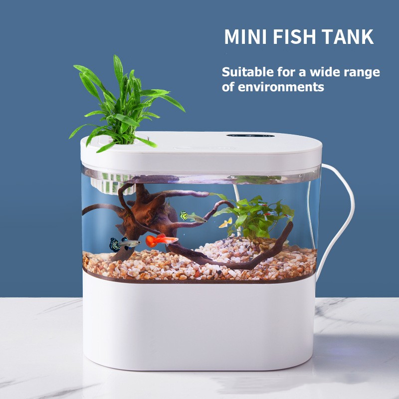 Creative Mini Desktop Fish Tan - Aquarium Fish Betta recension och pris
