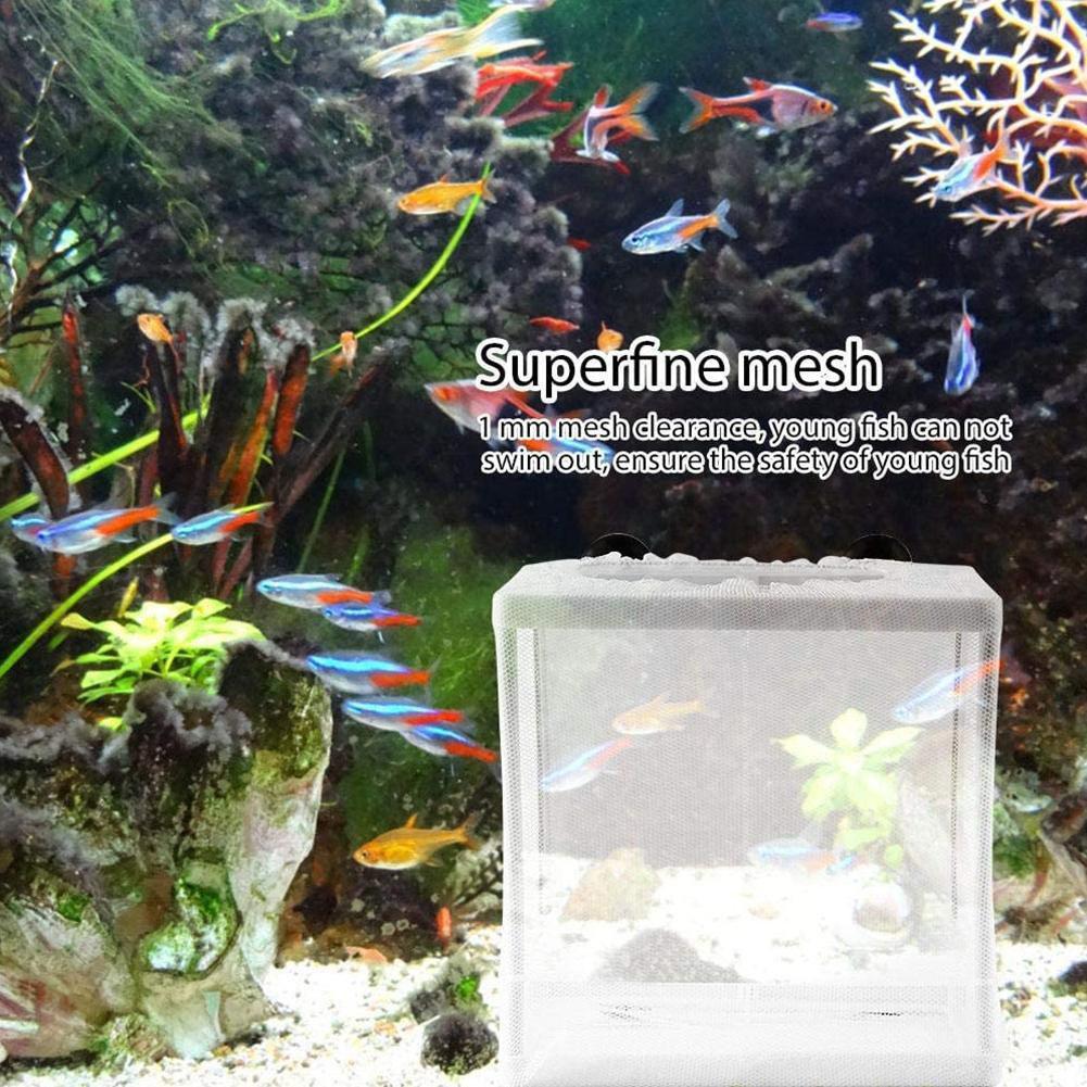 Hatchery Isolation Box for Aqu - Aquarium Fish Net recension och pris