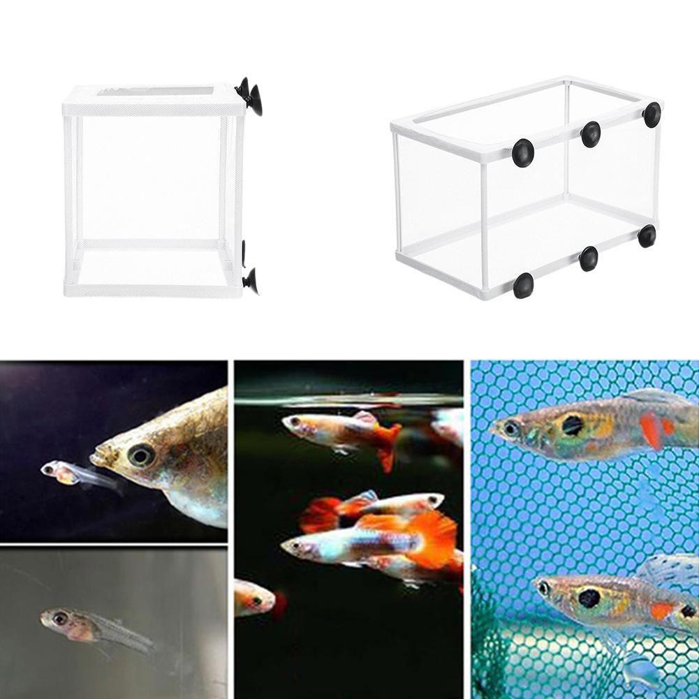 Hatchery Isolation Box for Aqu - Aquarium Fish Net recension och pris