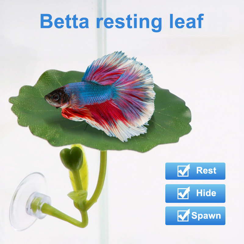 1 Pc For Betta Fish Stress-Red - Aquarium Fish Betta recension och pris