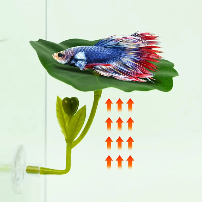 1 Pc For Betta Fish Stress-Red - Aquarium Fish Betta recension och pris